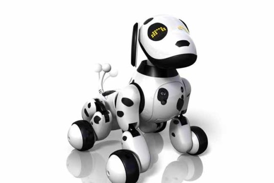 Roboter-Hund