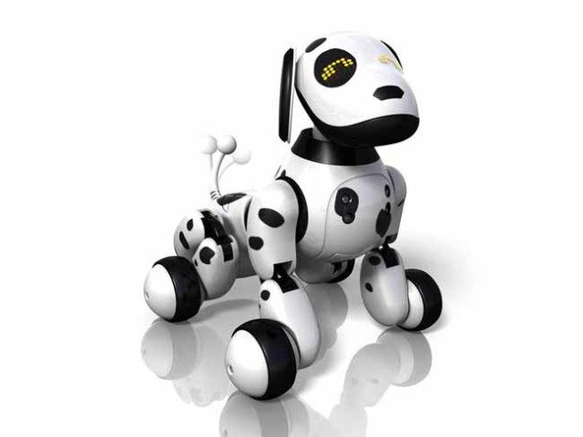 Roboter-Hund
